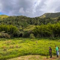 Escape Nativo – Café Premium Honey, Origen Santander, Especial Fermentado - 454g