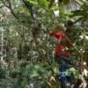 Visita la finca Escape Nativo (confirma disponibilidad, temporada 2025). 1 Visita. Suscriptores Gratis, agenda vía correo.