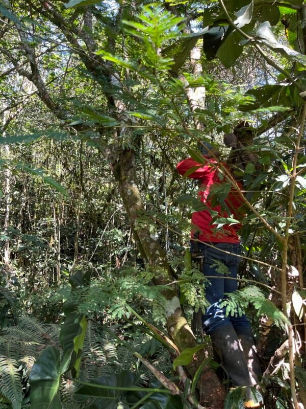 Visita la finca Escape Nativo (confirma disponibilidad, temporada 2025). 1 Visita. Suscriptores Gratis, agenda vía correo.