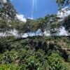 Visita la finca Escape Nativo (confirma disponibilidad, temporada 2025). 1 Visita. Suscriptores Gratis, agenda vía correo.