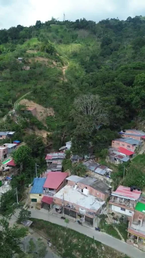 Asohelechales visto desde arriba